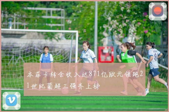 本菲卡转会收入达871亿欧元领跑21世纪葡超三强齐上榜