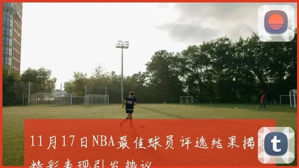 11月17日NBA最佳球员评选结果揭晓精彩表现引发热议