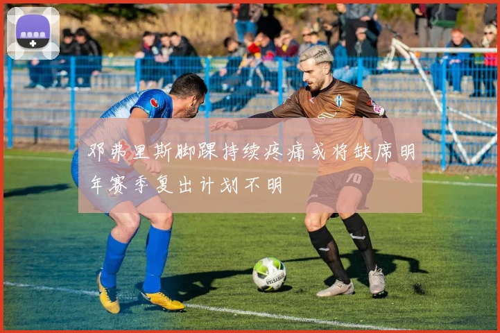 邓弗里斯脚踝持续疼痛或将缺席明年赛季复出计划不明