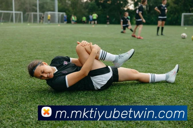 MK体育发展历程